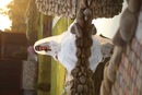 Діма Черешневський фотография #35 (источник - https://vk.com/id150599664)