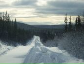 Фотография Макотченко Алёна