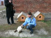 Фотография Сорокиной Юлии