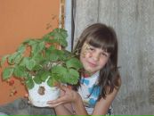 Вікторія Бряник фотография #2 (источник - https://vk.com/id74058022)