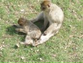 Юрій Юраш фотография #22 (источник - https://vk.com/id70214532)