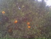 Андрій Петрашик фотография #43 (источник - https://vk.com/id133901041)