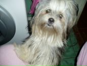 Фотография Михальского Станислава