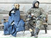 Фотография Свиридова Егора