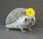 Фотография Демахиной Ольги