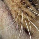 Діма Бричка фотография #44 (источник - https://vk.com/id137975523)