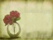 Марія Гайова фотография #5 (источник - https://vk.com/id18028115)