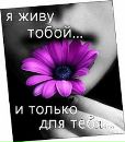 Руслан Чорній фотография #11 (источник - https://vk.com/id103841080)