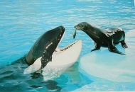 Сергій Баніт фотография #41 (источник - https://vk.com/id21088363)