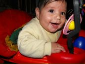 Arar Rezmak фотография #14 (источник - https://vk.com/id19674274)