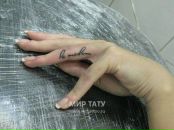 Фотография  