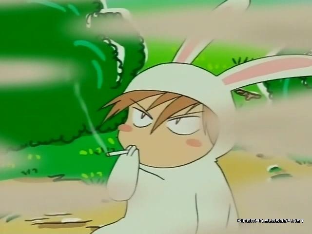 Печенька Печенька фотография #20