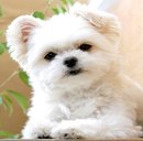 Катя Бірюзова фотография #8 (источник - https://vk.com/id157045931)