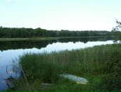 Фотография Жгуновой Ольги