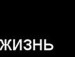 Діануська Пуська фотография #10 (источник - https://vk.com/id133271379)