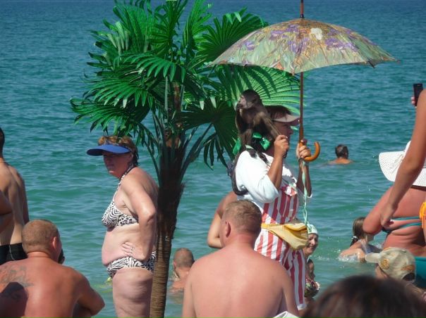 Виктор Левченко фото №16