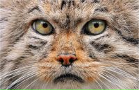 Фотография Кощеевой Анны