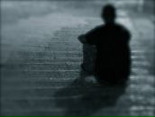 Фотография An Tigr