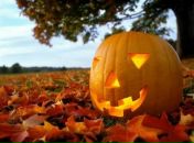 Фотография Соколовой Ольги