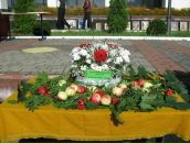 Наталія Кошка фотография #16 (источник - https://vk.com/id55018463)