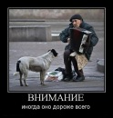 Вітя Салюк фотография #4 (источник - https://vk.com/id97726415)