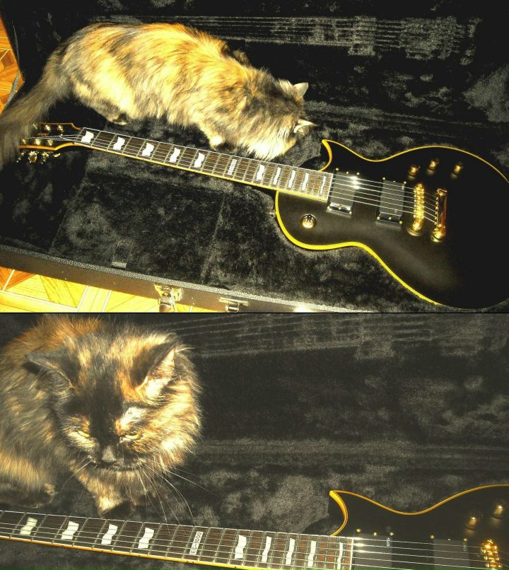 Сергей Забаев фотография #14