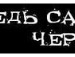 Ксюшка ツ фотография #35 (источник - https://vk.com/id135740055)