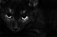 Тимур Мендыкулов фотография #35 (источник - https://vk.com/id3085690)