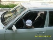 Ірина Орлевич фотография #33 (источник - https://vk.com/id112985111)