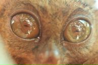 Фотография Калининой Веры