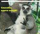 Фотография Салахутдиновой Альбины