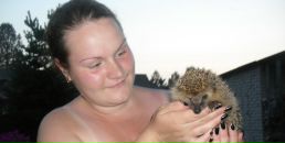 Фотография  