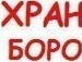 Паша Калішевич фотография #46 (источник - https://vk.com/id135234759)