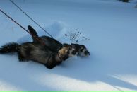 Владимир Бурматнов фотография #44 (источник - https://vk.com/id12703671)