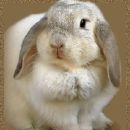 Фотография Кишениной Юленьки