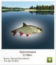 Макс Капітула фотография #44 (источник - https://vk.com/id134394023)
