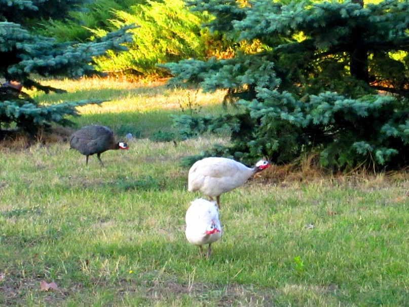 Ольга Гребенникова фотография #1