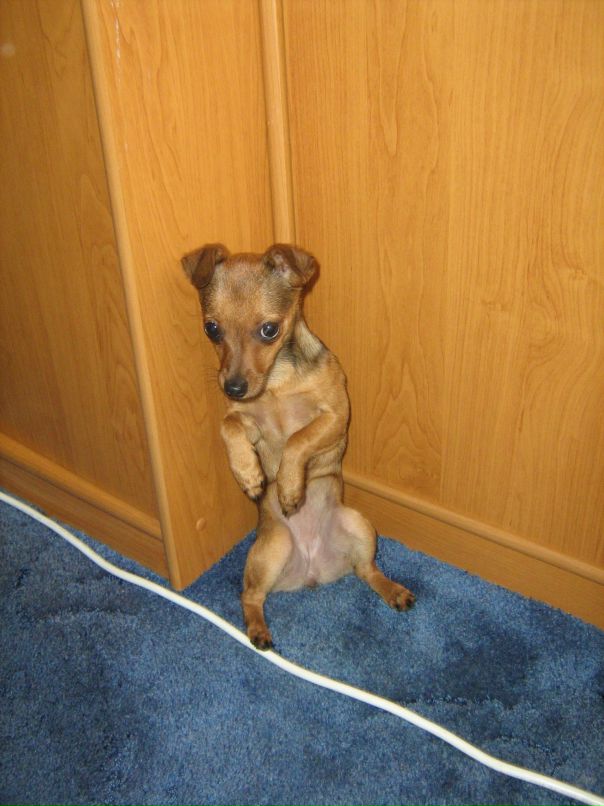 Игорь Логвинов фотография #42