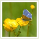 Фотография Сидоровой Людмилы