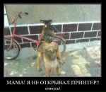 Юрій Рубанік фотография #31 (источник - https://vk.com/id91072730)