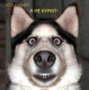 Фотография Данилюка Сергея