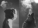 Фотография Дмитриевой Индиры