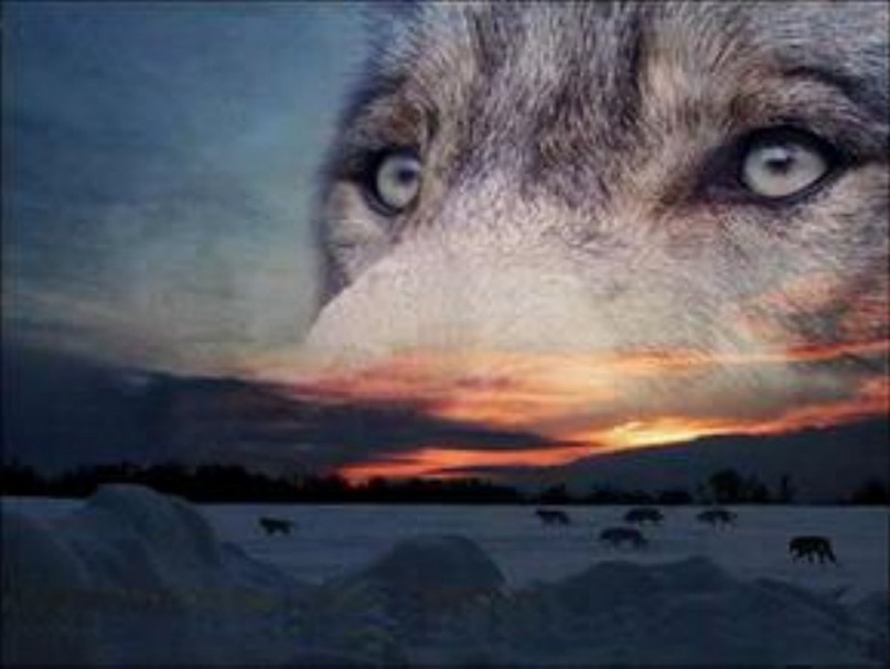 Дима Иванищев фотография #17