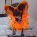 Юлія Куликовська фотография #1