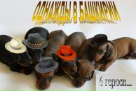 Фотография Гарифуллина Руста