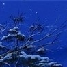 Павлік Мороз фотография #38 (источник - https://vk.com/id147497449)