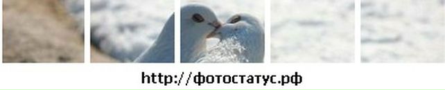 Ліля Терес фотография #48 (источник - https://vk.com/id16297009)