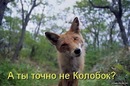 Юрік Тихоневич фотография #33 (источник - https://vk.com/id155626874)