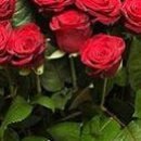 Erol Alkın фотография #2 (источник - https://vk.com/id163364409)