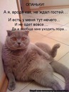 Каміла Юдицька фотография #31 (источник - https://vk.com/id134060787)